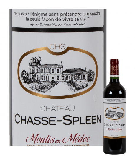 Chasse spleen